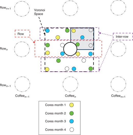 Elementary Voronoi spaces used to define the spatial sampling procedure during shallow (0–150 cm) root excavation. The Voronoi polygon (rectangle, dotted line) is defined as the half distance between the individual being studied and its neighbouring plants (dotted circles). The distance between coffee plants within a row was 1·11 m and the distance between rows was 1·43 m. The area of the Voronoi was 1·59 m2. During root excavation, 25 % of the Voronoi space (chosen randomly) was dug to a depth of 1·5 m deep (grey area), and root biomass was assessed. In the sequential coring experiment, five cores were sampled every month (one colour per month) inside the Voronoi space, of which two were in the row, and the remaining three in the inter-row. Each core was split into three layers (0–10, 10–20, 20–30 cm). To avoid over-coring, a new set of ten coffee plants was selected every 4 months for the sequential coring experiment.