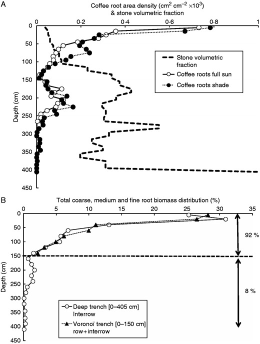 Coffee root profiles (0 – 405 cm). Root area density (A) measured to a depth of 4 m on the walls of two deep trenches (in full sun and in shade), and profile of stone volumetric fraction. Matching of the total root biomass distribution (B) per layer in shallow trenches (0–150 cm, row+inter-row; triangles) and deep trenches (0 – 400 cm, inter-row; circles). The cumulated root biomass (0 – 400 cm) was mostly found (92 %) in the upper 0–150 cm and only 8 % was present below 150 cm.