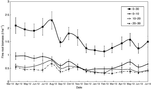 Fine root biomass dynamics of coffee plants estimated by sequential coring over a 15-month period classified by soil depth (0–10, 10–20, 20–30 cm and all classes pooled together in 0–30 cm). Values are means ± s.e. The ‘date’ effect was highly significant (P < 0·001, see Table 1), n = 2400.