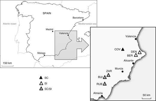 Geographical location of the six different populations of Linaria cavanillesii sampled in Spain, with their respective mating systems as revealed by controlled crosses (SC, self-compatible population; SI, self-incompatible population; SC/SI, mixed population containing SI plants and leaky SI plants).