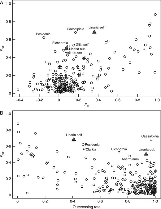 Correlation between FST and (A) FIS and (B) estimated outcrossing rates for species reviewed in Duminil et al. (2009). Estimates for Linaria cavanillesii, calculated on the basis of microsatellite data, are shown with closed triangles for the selfing and outcrossing population (labelled “Linaria self”, and “Linaria out”, respectively; black triangles). The other species are Antirrhinum valentinum (Antirrhinum), Caesalpinia echinata (Caesalpinia), Clarkia tembloriensis (Clarkia), Eichhornia paniculata (Eichhornia), selfing Gilia achilleifolia (Gilia self) and Posidonia australis (Posidonia). See text for details.