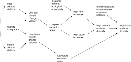 Hypothesized linkages of climatic stability to present and future biodiversity. Climatic stability refers to relative lack of change in the macroclimate, caused by such influences as warm ocean currents, low latitude and low continentality. Climate change velocity refers to the speed at which organisms must move to keep pace with climate change. Rugged topography causes climate change velocity to be lower for any given degree of climatic stability. Paleoendemism means old endemic lineages; we argue that these exist in places where they survived due to the combination of climatic stability and topography, which combine to produce low climate change velocity. Neoendemism means young endemic lineages; we argue that these exist where (1) they evolved, as a result of insularity, barriers and ecological opportunity, and (2) they survived, because of climatic stability and topography combining to produce low climate change velocity. Solid arrows, proposed positive cause and effect relationships. Dashed double-headed arrow, proposed positive correlation.