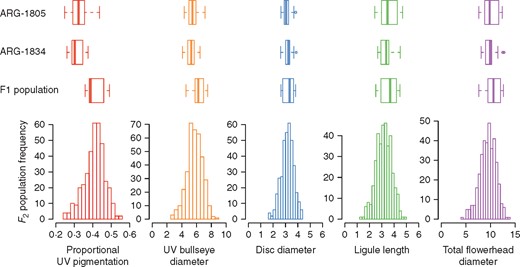Trait distributions for each genotype class: the two parental accessions (ARG-1805, n = 21; and ARG-1834, n = 18), F1 individuals (n = 22) and F2 individuals (n = 369). Proportional UV pigmentation on the ray ligule is bounded from 0 to 1, while the other four traits are length in centimetres. For each box-and-whisker plot, the central line represents the median, the boxes represent the first and third quartile, and the whiskers extend to roughly 95 % of the distribution. The F2 individual values are represented by frequency histograms.