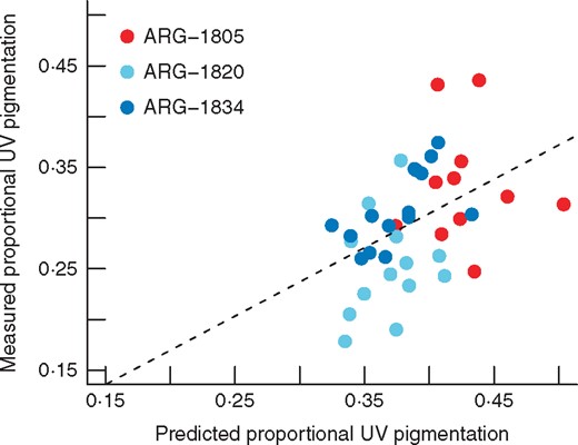 QTL-predicted proportional UV pigmentation versus observed values in individuals from three natural populations. ARG-1805 and ARG-1834 are the F2 mapping population parent accessions, while ARG-1820 is an accession with significantly smaller proportional UV pigmentation. The dashed line represents the linear model regression line (F1,32 = 6·21, P = 0·018, adj. R2 = 0·136).
