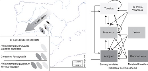 Map of the Iberian Peninsula showing the locations of the sites where seeds were collected (open and black circles) and sown (black circles). The distribution ranges of the study species along gypsum outcrops in the Tagus river valley and the scheme employed in the reciprocal sowing experiment are also shown.