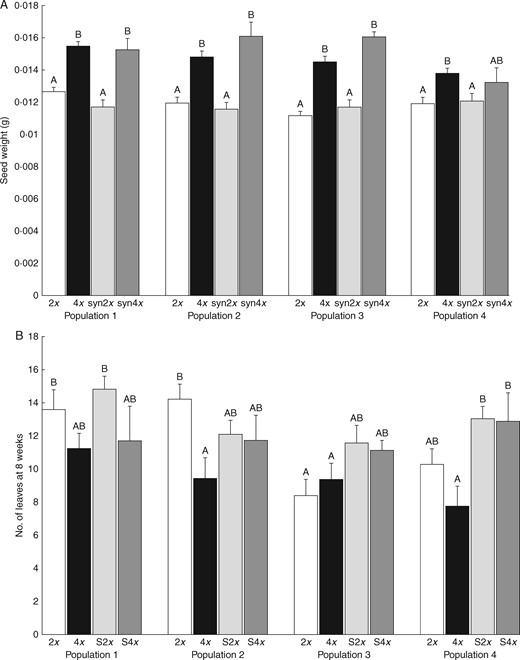 The effect of ploidy level (2x, 4x), plant origin (natural, synthetic) and population on (A) seed weight, (B) number of leaves at the age of 8 weeks, (C) number of pods per plant and (D) mean flowering time. S2x and S4x are diploid and tetraploid offspring of synthetic tetraploid mothers, respectively. Only germinated seeds are included in (A) because their ploidy level could be estimated. Columns sharing the same letter are not significantly different (P > 0·05). The graphs show means ± s.e.