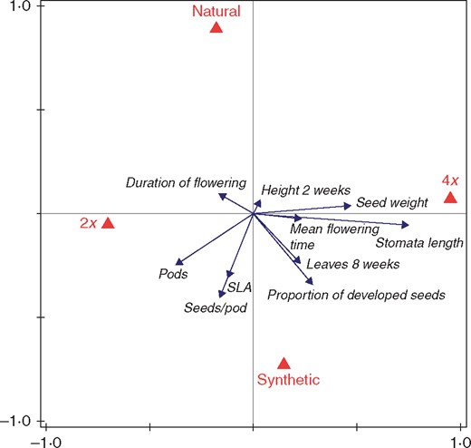 The results of the redundancy analysis of the effect of ploidy level (2x, 4x) and plant origin (natural, synthetic) on plant performance. The variables flowering (yes/no) and fruiting when flowering (yes/no) are not shown due to their low variation in the analysed sub-set of the data (see the Materials and Methods for details). The first (horizontal) axis explains 10·4 % and the second (vertical) axis explains 4·4 % of the total variation in the data set. The effect of plant origin and ploidy level is significant (Table 4).
