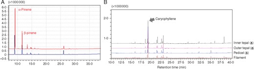 Flower and resin GC-MS analyses. (A) The main chemical compounds in female (red) and male (blue) just-opened flowers of Kadsura coccinea. (B) Main chemical compounds of the resin exudate of K. coccinea. The same analysis for a female flower is shown as Fig. S5. We did not find the same peak in the blank controls.