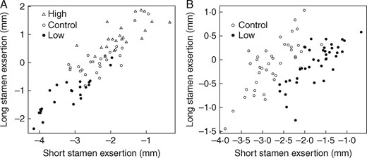 Values of long and short stamen exsertion in experimental populations of wild radish. Points represent mean values across flowers for each plant used in the field pollination experiment. Exsertion was measured as the difference between filament length and tube length, hence, negative values indicate insertion of the bottom of the anther into the corolla tube. Because the anthers are 2 mm long on average, an exsertion of –2 means that the top of the anther is even with the tube opening, and values above this mean at least part of the anther is exserted. (A) Exsertion selection experiment (n = 72); plants were selected either to increase exsertion (‘High’) or to decrease exsertion (‘Low’). (B) Dimorphism selection experiment (n = 80); plants were selected for decreased dimorphism (‘Low’).