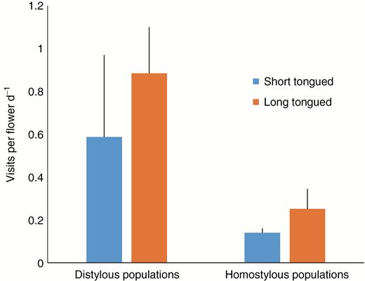 Mean ± s.e. visitation frequencies of long- and short-tongued pollinators in distylous vs. homostylous populations of Primula oreodoxa. Mixed populations were treated as distylous populations.