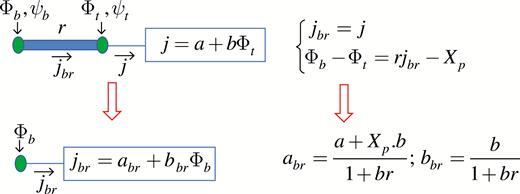 Calculation of the branch function for an internode with a terminal element attached to the top node. The purpose is to express jbr as a linear function of the carbon potential at the bottom of the internode Φb. In the absence of sinks and sources in the internode, the carbohydrate fluxes through the top and bottom ends of the internode are the same. The carbon potential increment (Φb−Φt) can be obtained from eqn (14) by setting x=l. The branch function parameters {abr,bbr} are determined from the equations at the top of the figure using elementary algebra.