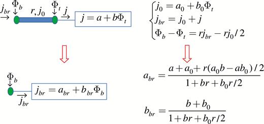 Calculation of the branch function for an internode with a distributed source/sink and a terminal element attached to the top node. Starting equations are obtained from eqns (16) and (17) by setting x=l. The branch function parameters {abr,bbr} are determined from the equations at the top of the figure using elementary algebra.