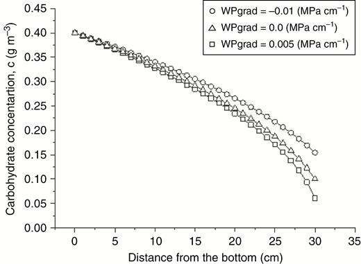 L-system model solutions (open symbols) versus the corresponding exact Lambert W function solutions (line graphs) obtained by Hall and Minchin (2013) for carbohydrate concentration distribution within a cylinder, taking into account the effects of xylem water potential gradient on phloem transport.