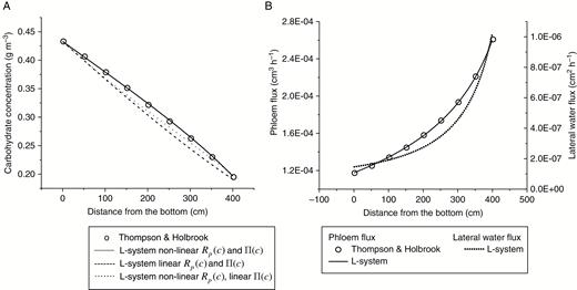 Stationary transport in a single sieve tube. The results of Thomson and Holbrook (2003a) are shown by open circles and results of L-system simulations are shown by line graphs. (A) Effects of the choice of approximations for the phloem resistance, Rp(c) and osmotic potential, Π(c) on the simulated carbohydrate potential distribution in the tube. See Fig. 1 for the corresponding approximations. (B) Simulated phloem flux and the lateral water flux in the tube.