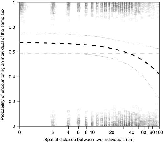 As the distance between two individuals increased, the probability that they were the same sex decreased. In our populations, we observed clumping of the sexes, where individuals in close proximity were more likely to be the same sex (dashed black line) than expected in a completely mixed population (dashed grey line). We controlled for the size of the habitat patch and the sex of the focal individual, but these factors did not interact with distance (see Table 3). The black dotted lines are the bootstrapped upper and lower 95 % confidence intervals computed based on 1000 simulations using the bootMer function in the lme4 package (Bates et al., 2014). Boxes are the raw data on whether pairs of individuals were the same sex (y = 1) or the opposite sex (y = 0). We added jitter along both axes to make all the data visible. To be able to plot distance = 0 on a log10 graph, we computed log10(distance + 1) and adjusted the x-axis labels to account for this transformation.