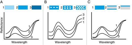 Diagram showing how different optical properties determine a flower’s reflectance spectrum. In each panel only one optical property is varied to illustrate the different mechanisms; at the top of each panel three model petals are shown (illumination and observation are from above). (A) Changes in the amount of pigment will alter the modulation of the reflected light; little pigment yields a pale colour, and very much pigment yields a dull colour. (B) The intensity of the reflected light increases with the number of backscattering structures, which are illustrated by white ovals. When the reflectance increases, the transmittance will decrease. For the sake of simplicity, the relative modulation of the spectra was kept constant, although in real flowers the filtering by pigments will change with floral anatomy. (C) When the total amount of pigment remains constant but its localization changes, this will alter the modulation of the reflectance spectrum. Pigment deposition at the side of viewing yields the strongest modulation. For details, see van der Kooi et al. (2016a) and Stavenga and van der Kooi (2016).