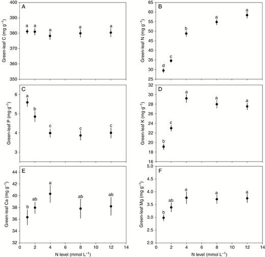 Effect of N supply on the concentrations of C, N, P, K, Ca and Mg in green leaves. Points and error bars denote the means and standard errors of elemental concentrations, respectively. Different letters above the error bars indicate a significant difference (P<0.05) among the five levels of N supply based on one-way analysis of variance (ANOVA) and the least significant difference post-hoc test.