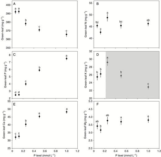 Effect of P supply on the concentrations of C, N, P, K, Ca and Mg in green leaves. Points and error bars denote the means and standard errors of elemental concentrations, respectively. Different letters above the error bars indicate a significant difference (P<0.05) among the five levels of P supply based on one-way analysis of variance (ANOVA) and the least significant difference post-hoc test. The shaded area in D highlights that leaf K concentration exhibits a shift from a sharp increase to a steep decline with increasing P level.