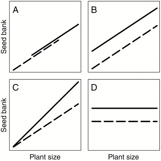Possible SV relationships between plant size and seed bank size. A higher seed bank size is considered in non-native (solid lines) compared to native (dotted lines) areas. Note that linear relationships are presented. In agreement with earlier work regarding plant size and reproductive output, the SV relationships are not necessarily linear but data can be transformed to linearize the relationships. (A) The case of ‘bigger’ plants in non-native areas as an explanation of higher seed banks. (B,C) Plants of the same size produce higher amounts of seeds incorporated into the seed bank. The reasons for this pattern can be three-fold: (1) a higher proportion of resources is devoted to seed production; (2) a lower proportion of the seeds is destroyed by seed predators prior to primary dispersal; and (3) a lower proportion of the seeds disappears from the seed bank in the soil. These modifications of the baseline SV relationship presented in A can result in a difference of intercept (B, modifications are constant for the entire range of plant dimensions) or slope (C, the nature of the relationship has changed and modifications are larger for larger individuals) (see Sujiyama et al., 1998, figure 1 for similar changes in RV relationships). Simultaneous effects due to a change of plant size as in A, and a change of intercept (B) or slope (C) are possible (see Weiner et al., 2009b, figure 4 for an illustration regarding RV relationships) but not represented here. (D) The absence of an SV relationship. This can result, for example, from the accumulation and persistence of seeds in the seed bank over a long time, while stand characteristics and basal area change.