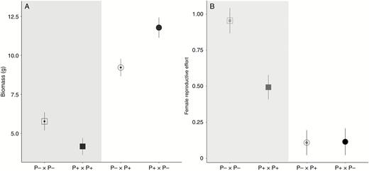 (A) Above-ground biomass and (B) female reproductive effort for offspring from control crosses (in the grey area, square symbol) and reciprocal crosses (round symbol) between individuals with female-like inflorescence morphology (P–) and male-like inflorescence morphology (P+). The maternal parent is indicated first in each cross type, with symbols for P– and P+ being open and closed, respectively.