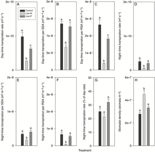 Transpiration and stomatal density of 14- to 18-d-old barley plants grown on complete nutrient solution (control) or on nutrient solution containing only 3.33 % of the nitrogen (low-N) or 2.5 % the phosphate (low-P) of the control solution. (A–C) Daytime transpiration rate expressed on a (A) plant, (B) shoot surface area (SSA) and (C) root surface area (RSA) basis. (D–F) Night-time transpiration rate expressed on a (D) plant, (E) SSA and (F) RSA basis. (G) Night-time rate of transpiration expressed as a percentage of the daytime rate. (H) Stomatal density of leaf 2. Results are mean and s.e. (error bars) of (A–G) 9–11 and (H) 4 or 5 plant analyses. Statistically significant differences (P < 0.05) in values between treatments are indicated by different letters above the columns.