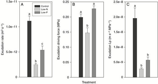 Root exudation data of 14- to 18-d-old barley plants grown on complete nutrient solution (control) or on nutrient solution containing only 3.33 % of the nitrogen (low-N) or 2.5 % of the phosphate (low-P) of the control solution. (A) Exudation rate, (B) osmotic exudation driving force and (C) exudation root hydraulic conductivity (Lp). Results are mean and s.e. (error bars) of 11 or 12 plant analyses. Statistically significant differences (P < 0.05) in values between treatments are indicated by different letters above the columns.