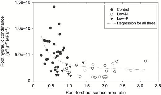 Correlation between the root-to-shoot surface area ratio and root hydraulic conductance of 14- to 18-d-old barley plants. Plants were grown on complete nutrient solution (control) or on nutrient solution containing only 3.33 % of the nitrogen (low-N) or 2.5 % of the phosphate (low-P) of the control solution. Root L was determined by exudation analyses. Each point (n = 63) represents a pair of values for one plant. Correlation analysis was carried out with Minitab using data points from all three treatments, including the control. The Pearson correlation coefficient was −0.459 (P < 0.001). The curve fit is exponential (y = a × x−b), where a = 2.65 × 10−11 and b = 0.704; r2 = 0.3124.