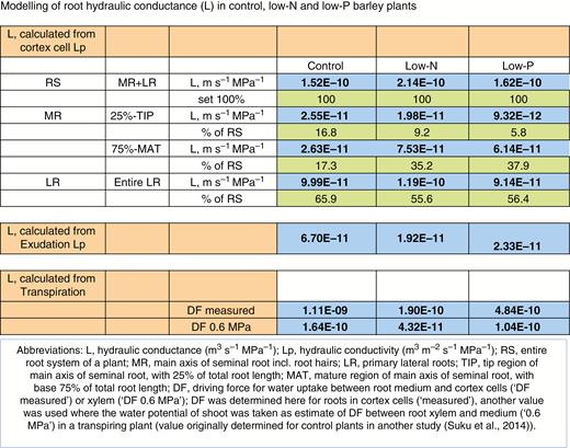 Modelling of root hydraulic conductance (L, m3 s−1 MPa−1) of barley plants grown under nutrient-sufficient control conditions or on media low in N or P (low-N, low-P). Hydraulic conductance was calculated from data on cortex cell hydraulic conductivity (Lp, m3 m−2 s−1 MPa−1) using cell dimensions and the difference in water potential between cortex cells and root medium; or using data on exudation Lp, together with data on root surface area; or using data on plant transpirational water loss together with data on root surface area and the water potential difference between xylem and root medium, being the driving force (DF) of radial root water uptake. A measured value of DF between cortex cells and root medium and a value of DF derived from the determination of shoot water potential as part of a previous study (Suku et al., 2014) was used. Values of cell Lp were available for control and low-N plants for all root positions and types analysed; a gross approximation needed to be made for lateral roots of low-P plants, which were not analysed for Lp, by using the mean value of control and low-N plants. All abbreviations are explained in the legend contained within the figure.