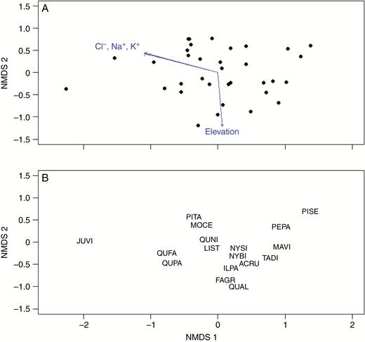 (A) NMDS of species abundance (basal area) in each of 34 plots surveyed in 2015/2016. Vectors represent the environmental factors measured at each plot that are significantly correlated with tree community distribution. (B) Major tree species in ordination space denoted by species code. ACRU, Acer rubrum; FAGR, Fagus grandifolia; ILPA, Ilex opaca; JUVI, Juniperus virginiana; LIST, Liquidambar styraciflua; MAVI, Magnolia virginiana; MOCE, Morella cerifera; NYBI, Nyssa biflora; NYSI, Nyssa sylvatica; PEPA, Persea palustris; PISE, Pinus serotina; PITA, Pinus taeda; QUAL, Quercus alba; QUNI, Quercus nigra; QUPA, Quercus pagoda; TADI, Taxodium distichum. Other species present but not displayed on the NMDS: Carya tomentosa, Chamaecyparis thyoides, Cornus florida, Gordonia lasianthus, Liriodendron tulipifera, Oxydendrum arboretum, Prunus serotina, Quercus multiple species, Sassafras albidum and Ulmus multiple species.