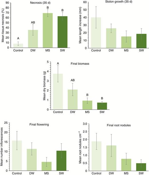 Responses of Trifolium repens to simulated seawater flooding (MS) and natural seawater (SW) compared with immersion in deionized water (DW) or untreated controls. Panels show effects on above-ground tissue necrosis and stolon extension at 35-d post-immersion, and final plant dry weight biomass, inflorescence number (per plant) and root colonization by rhizobia at 90 d post-immersion.