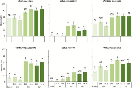 Effect of simulated seawater (MS), natural seawater (MS) and freshwater (DW) flooding on mean (± s.e.) above-ground tissue necrosis for six European coastal grassland species 28 d after root-zone immersion.