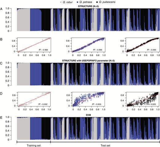 Overview and comparison of three assignment approaches based on genotype data from 58 single-nucleotide polymorphisms. Each bar represents a single Quercus spp. individual and colours reflect assignment probabilities to respective clusters. Individuals (n = 827) are arranged according to training and test set. (A) Bar plot of Q values for STRUCTURE (Pritchard et al., 2000) without USEPOPINFO (K = 3). (C) Bar plot of assignment probabilities for STRUCTURE with USEPOPINFO (this model assumes that the predefined species clusters are correct). (E) Bar plot of support vector machine (SVM) assignment probabilities. (B) Correlations between assignment probabilities from STRUCTURE with USEPOPINFO (x-axis) and STRUCTURE without USEPOPINFO (K = 3, y-axis), respectively. (D) Correlations between assignment probabilities from STRUCTURE with USEPOPINFO (x-axis) and SVM assignment (y-axis), respectively.