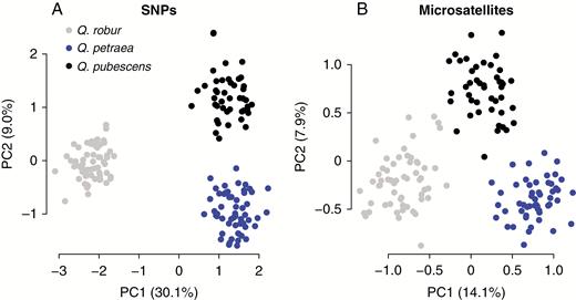 Principal component analyses of pure individuals of Quercus spp. using different underlying data types for taxon assignment. The plots show the first two principal components (PC1, PC2) and their explained variation in parentheses. (A) Genotype data from 58 single-nucleotide polymorphisms (SNPs) and (B) genotype data from eight microsatellites (nSSRs).