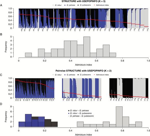 Admixture levels in populations of Quercus spp. (A) STRUCTURE (Pritchard et al., 2000) assignment with USEPOPINFO (K = 3, this model assumes that the predefined species clusters are correct) of 31 populations and (C) pairwise STRUCTURE assignment with USEPOPINFO (K = 2) of populations with a minimum of ten individuals after excluding individuals potentially belonging to the third species cluster. Each bar represents a single individual and colours reflect assignment probabilities. Per population, the averaged admixture index based on Shannon’s diversity (S) is indicated in red. Populations are ordered from high (left) to low (right) admixture index. The first digit of the population number reflects regions of origin in Switzerland: 1 = Jura; 2 = Swiss Plateau; 3 = Pre-Alps and Alps; 4 = Valais; 5 = Ticino; 6 = Grisons. (B) Histogram showing the frequency of S of all populations and (D) histogram for pairwise S based on results from (C).