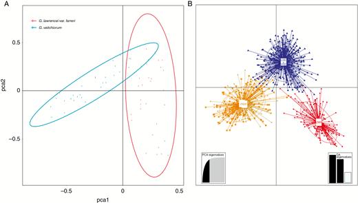 Genetic analysis between Gentiana veitchiorum and G. lawrencei var. farreri based on microsatellite data. (A) PCA result. Each dot represents one population of G. veitchiorum and G. lawrencei var. farreri. (B) Scatterplot of DAPC analysis. Clusters and inertia ellipses are shown in different colours. The orange and grey clusters together correspond to the north-west clade of G. veitchiorum (VNW). The red cluster corresponds to the north-west clade of G. lawrencei var. farreri (LNW). The south-east clades of the two species (LSE and VSE) are represented by the blue cluster. Each dot represents an individual. Insets show histograms of discriminant analysis eigenvalues.