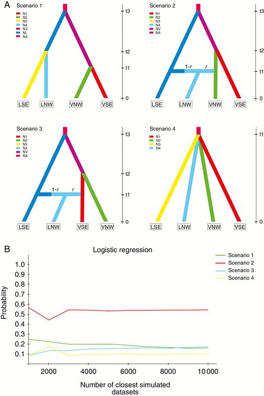 Schematic representation of models tested for Gentiana veitchiorum and G. lawrencei var. farreri population history using approximate Bayesian computation. (A) Tested population divergence scenarios and (B) their posterior probabilities. LSE and LNW represent the south-east group and north-west groups of G. lawrencei var. farreri, respectively, and VSE and VNW represent the south-east and north-west groups of G. veitchiorum. N (N1, N2, …) represents effective population size and t (t1, t2 and t3) represents time of coalescence. Posterior probabilities were estimated based on a polychotomous logistic approach. For details refer to the Materials and methods section.
