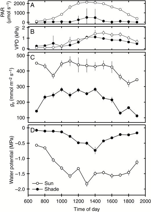 Diurnal measures of (A) photosynthetically active radiation (PAR), (B) vapour pressure deficit (VPD), (C) stomatal conductance (gS) and (D) leaf water potential (ψ) in sun and shade populations of P. aquilinum (open and closed circles, respectively).