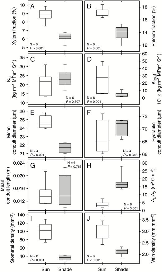 Hydraulic and anatomical trait comparisons in sun and shade fronds of P. aquilinum (white and grey boxplots, respectively): (A, B) cross-petiolar xylem and phloem fraction, (C, D) xylem-specific (KS) and leaf-specific conductivity (KLEAF), (E, F) mean conduit diameter (D) and hydraulic conduit diameter (DH), (G) mean conduit length (LC), (H) the ratio of leaf area to xylem area (AL: AX), and (I, J) stomatal density (SD) and vein density (VD).