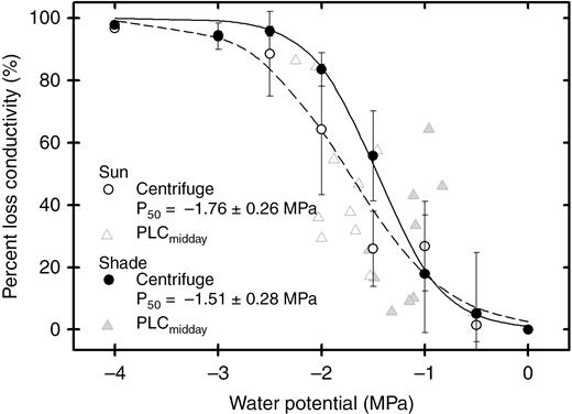 Percentage loss of petiole conductivity in response to xylem pressure in sun and shade fronds of P. aquilinum.