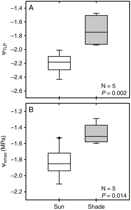 (A) Water potential at turgor loss point (Ψ TLP) and (B) maximum osmotic potential (Ψ ΠMAX) in sun and shade fronds of P. aquilinum.