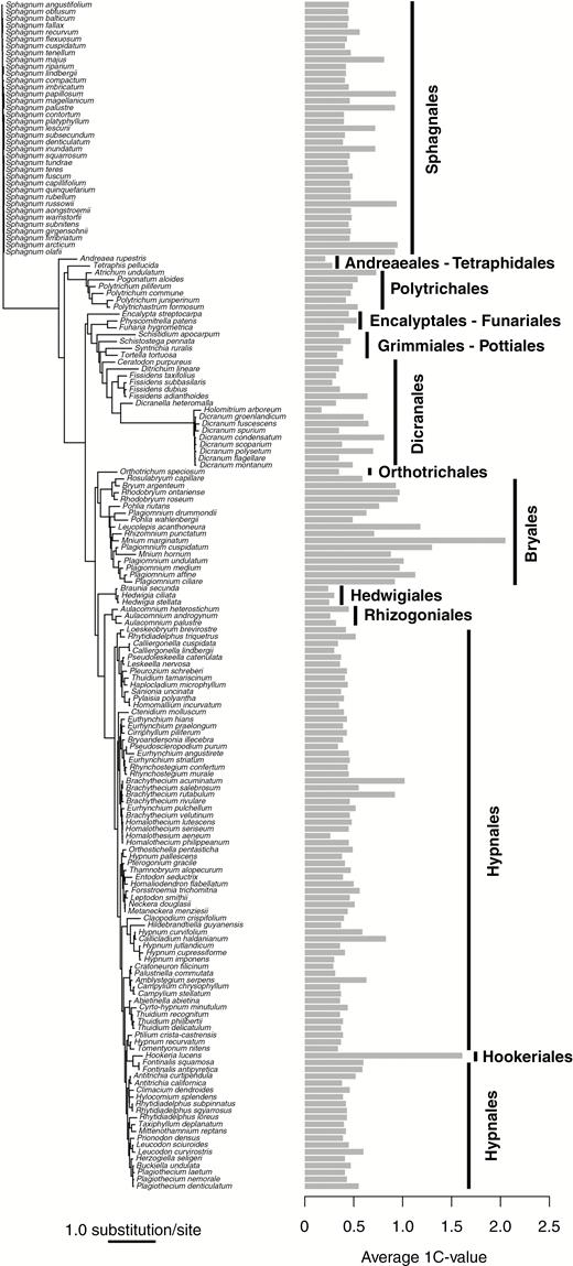 Pruned phylogram of 173 species with the average 1C-values for each species plotted and the moss orders indicated with vertical bars. For species with multiple 1C-values, the smallest value was used as a conservative estimate of genome size.