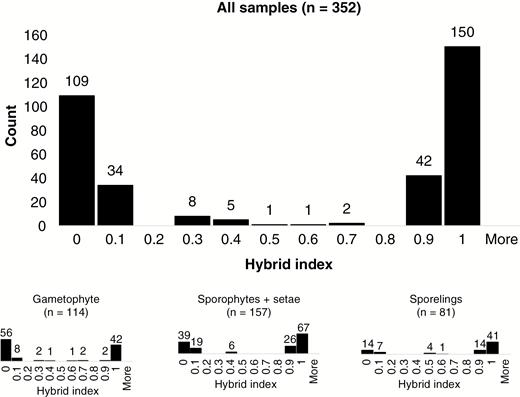 Histogram showing the distribution of the hybrid index for samples of Homalothecium (upper panel = all samples combined; lower panel = samples classified by life generations) from Öland, calculated from allelic profiles at 85 species-specific SNP loci. Samples with a hybrid index of 0 are H. sericeum without admixture, those with an index of 1 are H. lutescens without admixture; intermediate indices represent samples with various levels of genomic admixture of the two parental species.