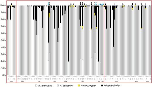 Proportions of SNPs in the maternal haploid gametophyte (G) and the attached diploid seta (S) or complete sporophyte (C) in allopatric populations of H. lutescens (HL2), H. sericeum (HS1–HS3) and sympatric populations of Homalothecium from Öland (HB1–HB7), respectively. Arabic numbers correspond to the numbers of sampling points in Fig. 1. Blue arrow, admixed maternal gametophyte; black arrow, admixed sporophyte; *, individuals with equal (balanced) representation of the two parental genomes.