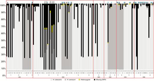 Proportions of SNPs in sporophytes (S) and offspring (R = recombinants; aggregate sample with multiple haploid sporelings; heterozygotic expression is due to occurrence of different alleles from the two parents). All samples were collected from sympatric populations in Öland. The pair of sporophyte and offspring is shown by Roman numerals. Arabic numbers correspond to the patch number of sporophytes taken from additional colonies outside the transect lines (marked by circles in Fig. 1). Hb1–Hb6 = sympatric populations. Blue arrow, admixed sporophyte; black arrow, admixed sporeling sample; *, samples with equal (balanced) representation of the two parental genomes.