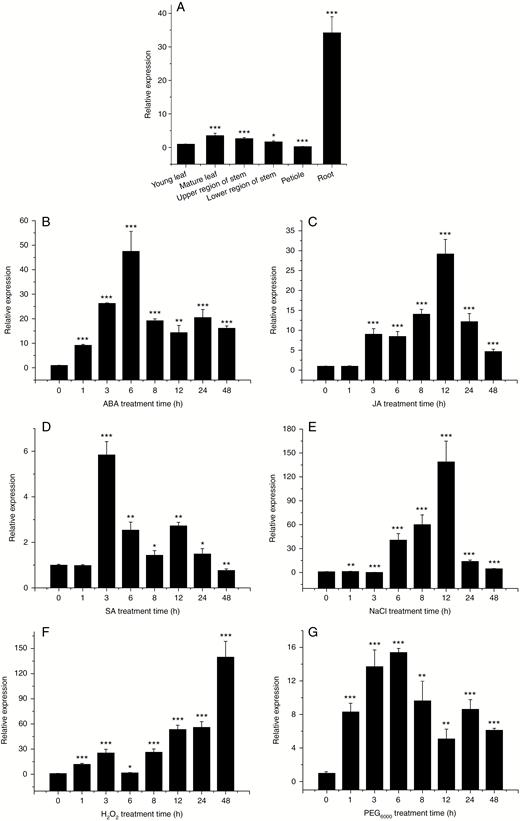 (A) Transcript levels of PtHMGR gene of P. trichocarpa in mature leaves, young leaves, upper and lower region of stems, roots and petioles. Effect of (B) 200 μm ABA, (C) 200 μm JA, (D) 200 μm SA, (E) 200 mm NaCl, (F) 2 mm H2O2, and (G) 10 % PEG6000 on the PtHMGR transcript level. Relative expression was calculated using Actin as an internal reference. Leaves treated with distilled water served as controls. Vertical bars are mean ± s.d. (n = 3). Three independent experiments were performed. *P < 0.05, **P < 0.01, ***P < 0.001.