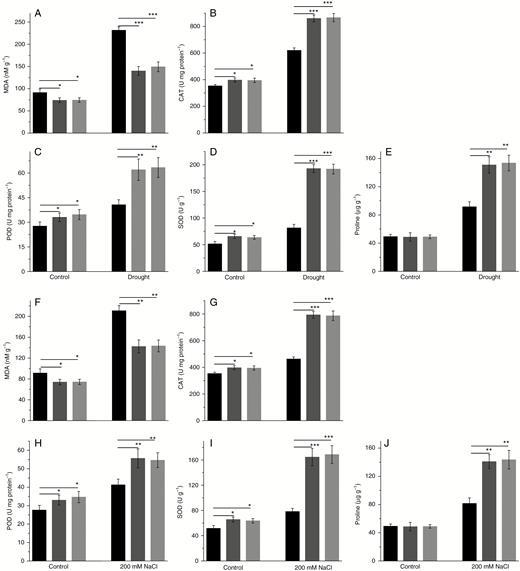 (A–E) Effect of drought stress on (A) MDA level, (B) CAT activity, (C) POD activity, (D) SOD activity and (E) proline content in WT and transgenic poplar. (E–J) Effect of salt stress on (F) MDA level, (G) CAT activity, (H) POD activity, (I) SOD activity and (J) proline content in WT and transgenic poplar. Vertical bars are mean ± s.d. (n = 3). Black columns, WT; Trans1 and Trans2 represent two relatively independent transgenic lines, respectively, dark grey columns, Trans1; light grey columns, Trans2. Three independent experiments were performed. *P < 0.05, **P < 0.01, ***P < 0.001.