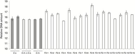 Flow cytometry of nuclear DNA amounts. Two individuals of the parental C. sativa and C. microcarpa parents (dark grey bars), two F1C. microcarpa × C. sativa hybrids (light grey bars) and 16 F2 individuals (white bars) are shown. Relative DNA amount refers to the position of peaks on the flow cytometer readout. The analysis was carried out in triplicate; mean ± s.e.m. values are shown. C.s., C. sativa; C.m. × C.s., F1 hybrid; C.m., C. microcarpa Guillestre.