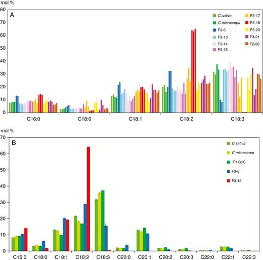 Relative fatty acid profiles of F2 and F3 hybrid seeds. (A) Major fatty acid profile of individual seeds of nine F3 populations and controls was analysed by GC–MS. For each population, two or three seeds were analysed. Each bar represents a single seed. (B) Mean values (± s.e.m.) obtained with a greater number of individual seeds. F1 G×C = F2 seeds produced by the cross C. microcarpa × C. sativa. For all samples n = 9, except F1 G×C (n = 4) and F3-18 (n = 3).