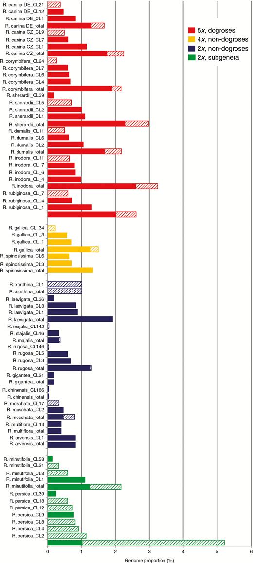 Abundance and diversity of CANR4-containing clusters. Columns indicate amplified CANR4 variants for each clade. Column height is proportional to genome representation. The total values are the sums of the genome proportions of individual clusters. Diploid, tetraploid and pentaploid dogroses are shown in blue, yellow and red, respectively. The diploid representatives of the two early divergent subgenera are shown in green. The consensus sequences of each cluster belong to two major clades in the phylogeny shown in Fig. 3. Clusters containing different CANR4 variants (Fig. 3) are indicated by filled (Clade 1) and hatched (Clade 2) columns.