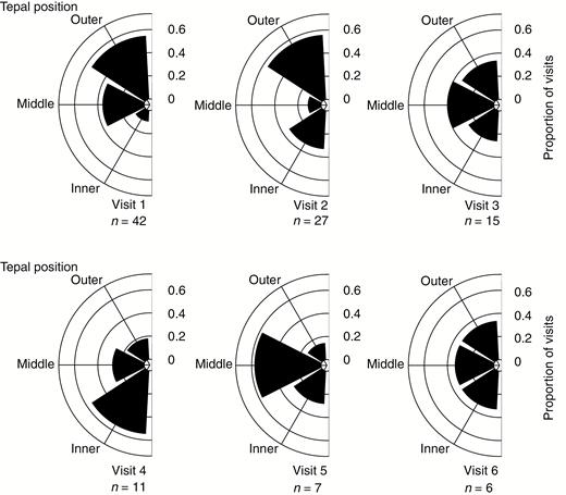 Proportional contribution of each tepal position (inner, middle and outer) to visits in sequence (first six visits) shown as a rose diagram. Data include only the first flower visited by each butterfly with tepals grouped as follows: outer (3 and 4); middle (2 and 5); and inner (1 and 6), as in Fig. 2. The sample size of the tepal-visit observations (n) for each visit event is indicated. Height of each bar indicates the proportion represented. Proportions marked by arches.